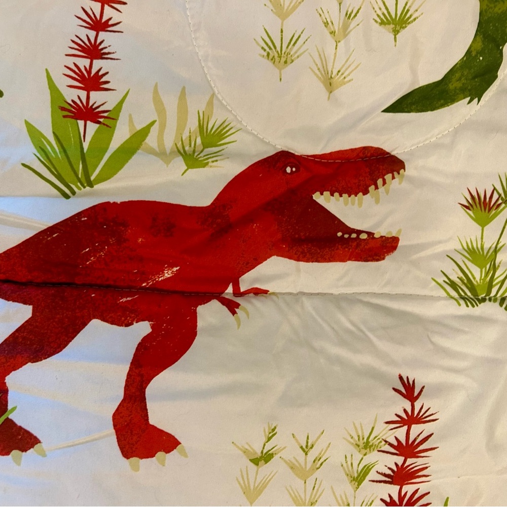 Red Dinosaur Print Comforter and Sham